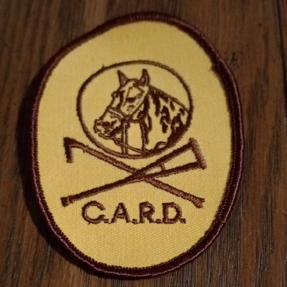 Equestrian Embroidered Patch - Yellow and Brown